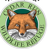 Date Night Hike & Campfire - logo